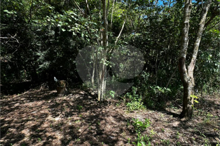 Terreno à venda em Residencial Emilio de Andrade, Ponta Porã, MS