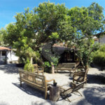 Casa à venda com 8 quartos, sendo 4 suítes, em Alto de Búzios, Armação dos Búzios, RJ