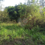 Terreno à venda em Bosque dos Eucalíptos, Atibaia, SP