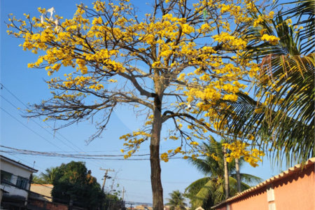 Casa à venda com 2 quartos, sendo 1 suíte, em Campo Grande, Rio de Janeiro, RJ