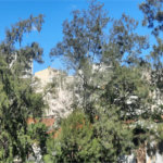 Apartamento à venda com 3 quartos, sendo 2 suítes, em Tijuca, Rio de Janeiro, RJ
