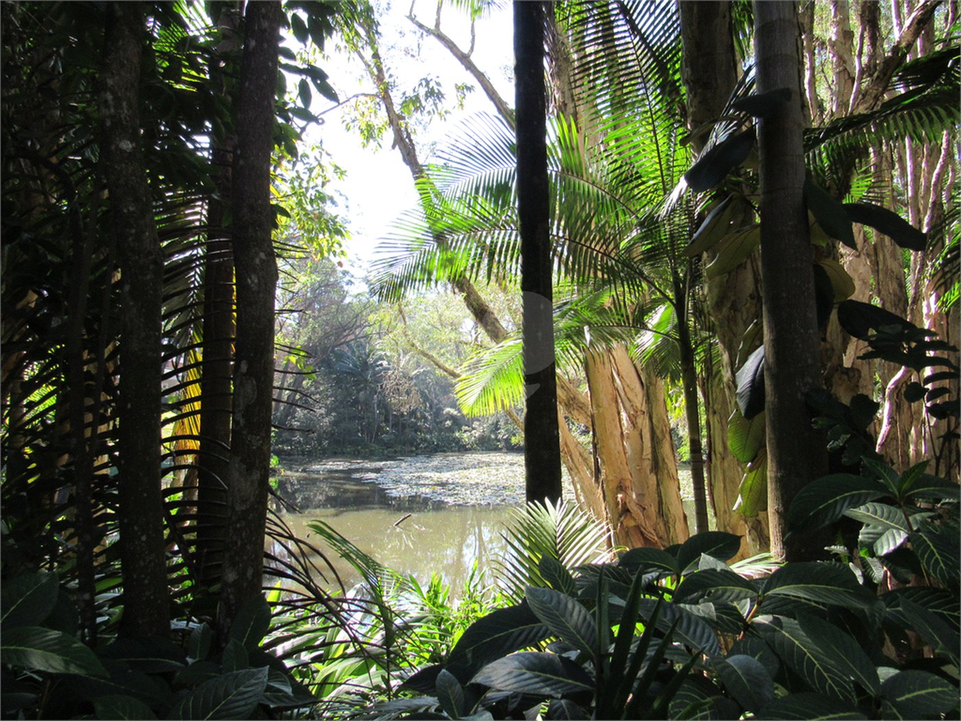 Terreno à venda em Chácara Flora, São Paulo, SP