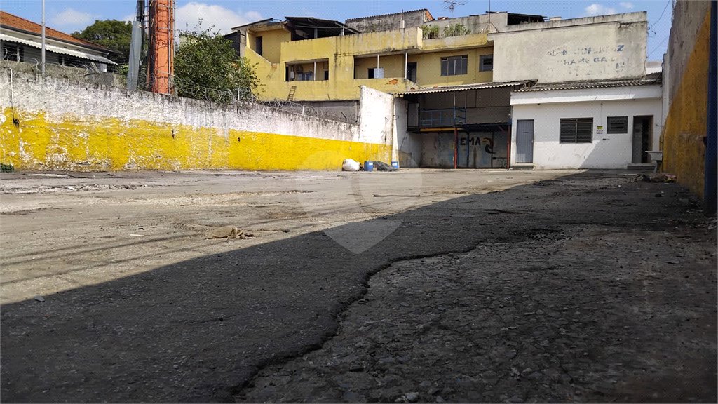Terreno para alugar em Jardim Ivana, São Paulo, SP
