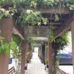 Apartamento à venda com 2 quartos, sendo 1 suíte, em Vista Alegre, Vinhedo, SP