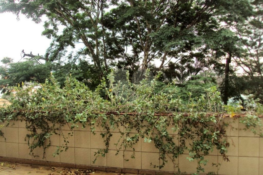 Casa à venda com 3 quartos, sendo 1 suíte, em Vila Mariana, São Paulo, SP
