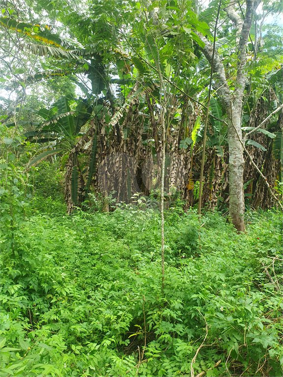 Terreno à venda em Vila Moraes, Mogi das Cruzes, SP