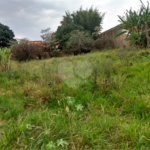 Terreno à venda em Vila Judite, Itapetininga, SP