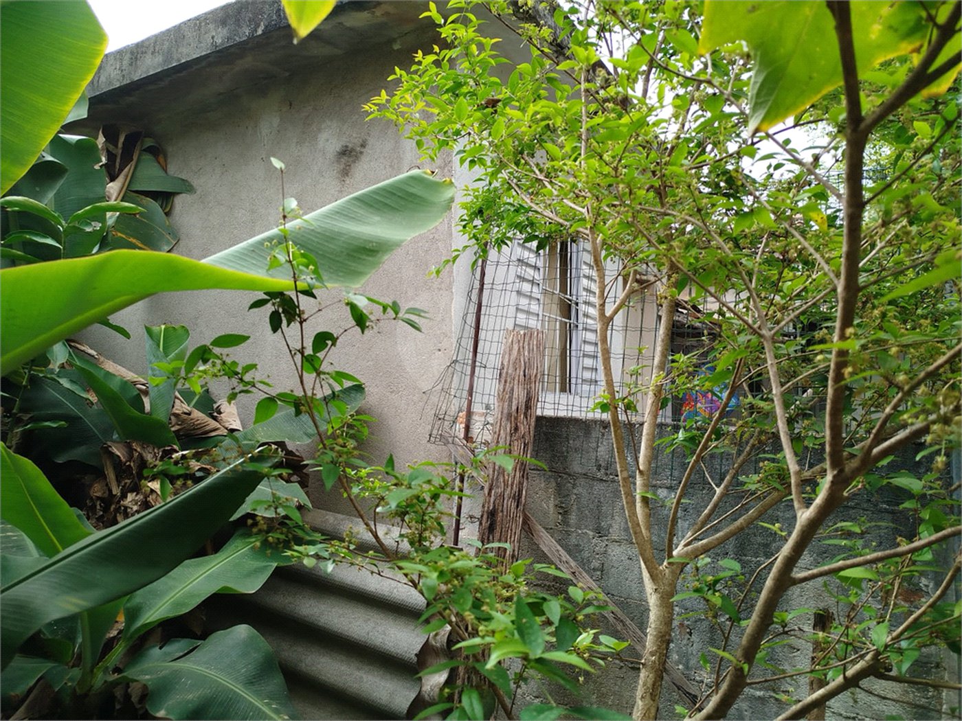 Terreno à venda em Tucuruvi, São Paulo, SP