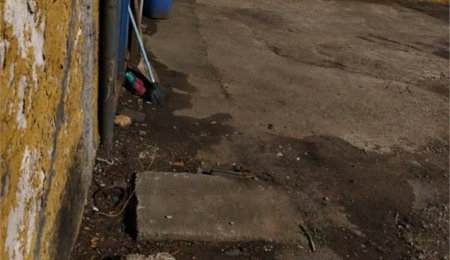 Terreno para alugar em Jardim Ivana, São Paulo, SP