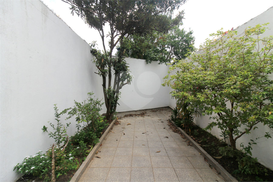Casa Térrea à venda com 3 quartos em Vila Isolina Mazzei, São Paulo, SP