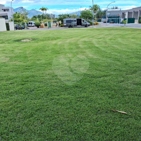 Terreno à venda com 1 suíte, em Barra da Tijuca, Rio de Janeiro, RJ