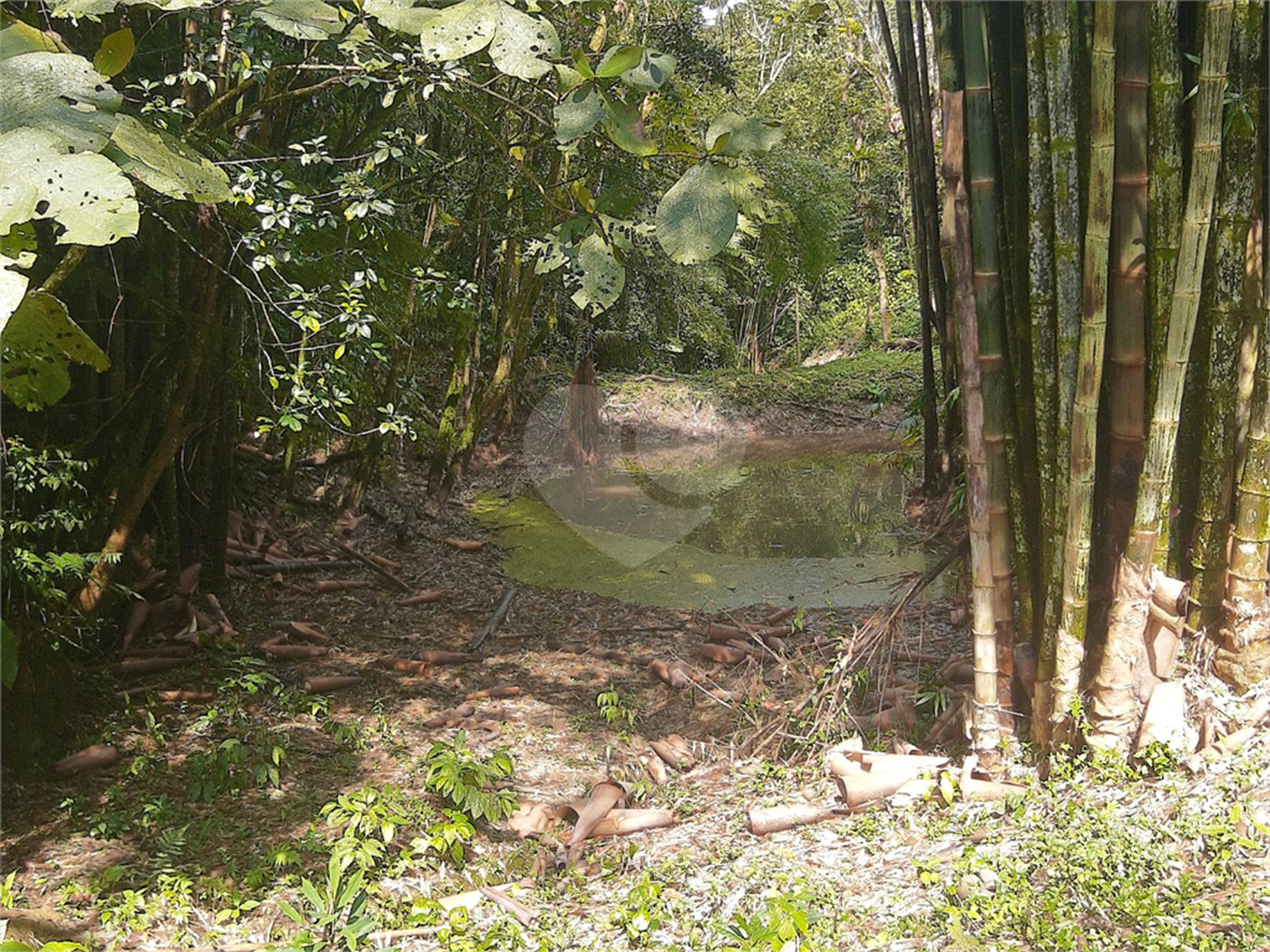 Sítio à venda com 5 quartos, sendo 1 suíte,  em Área Rural de Tapiraí, Tapiraí, SP