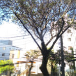 Sobrado à venda com 4 quartos, sendo 1 suíte,  em Santana, São Paulo, SP