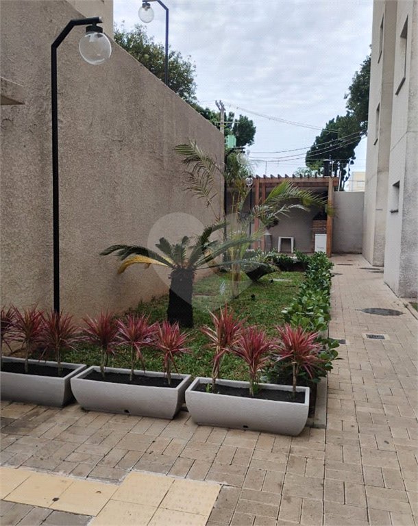 Apartamento à venda com 2 quartos em Vila Ré, São Paulo, SP
