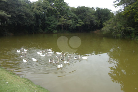Terreno à venda no condomínio Terras de São Francisco, Vinhedo - SP