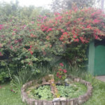 Terreno à venda com 6 quartos no condomínio Quinta dos Lagos, Cotia - SP