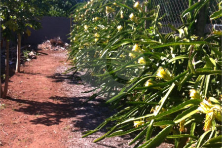 Chácara à venda com 5 quartos em Parque Planalto, Araraquara, SP
