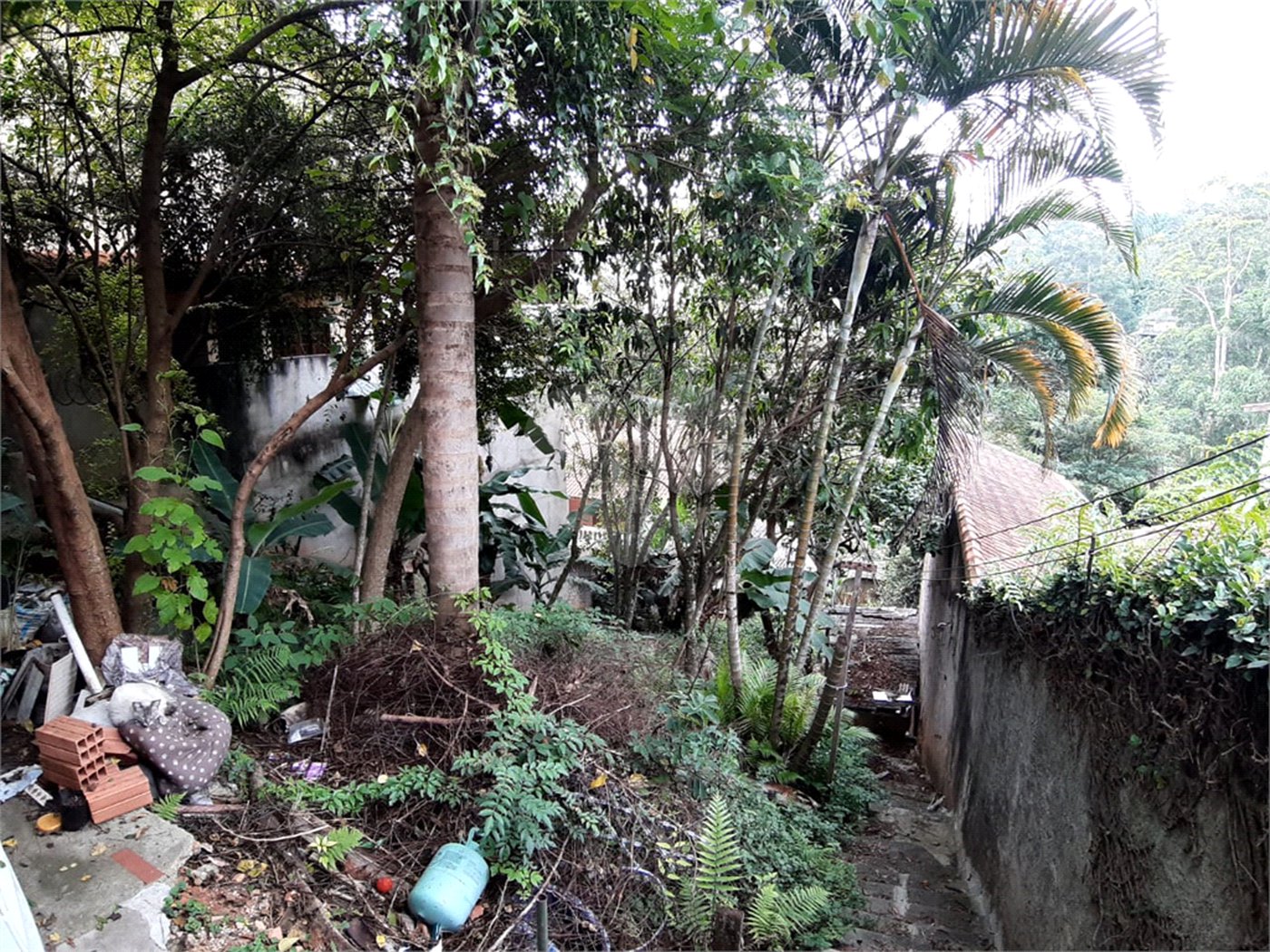 Terreno à venda em Tucuruvi, São Paulo, SP