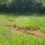 Terreno à venda ou para alugar em Cruz das Almas, Itu, SP