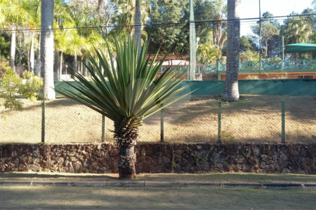 Casa à venda com 6 quartos, sendo 4 suítes, no condomínio Recanto dos Palmares, Atibaia - SP