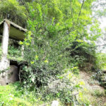 Terreno Residencial à venda, Morro de Nova Cintra, Santos - TE0034.