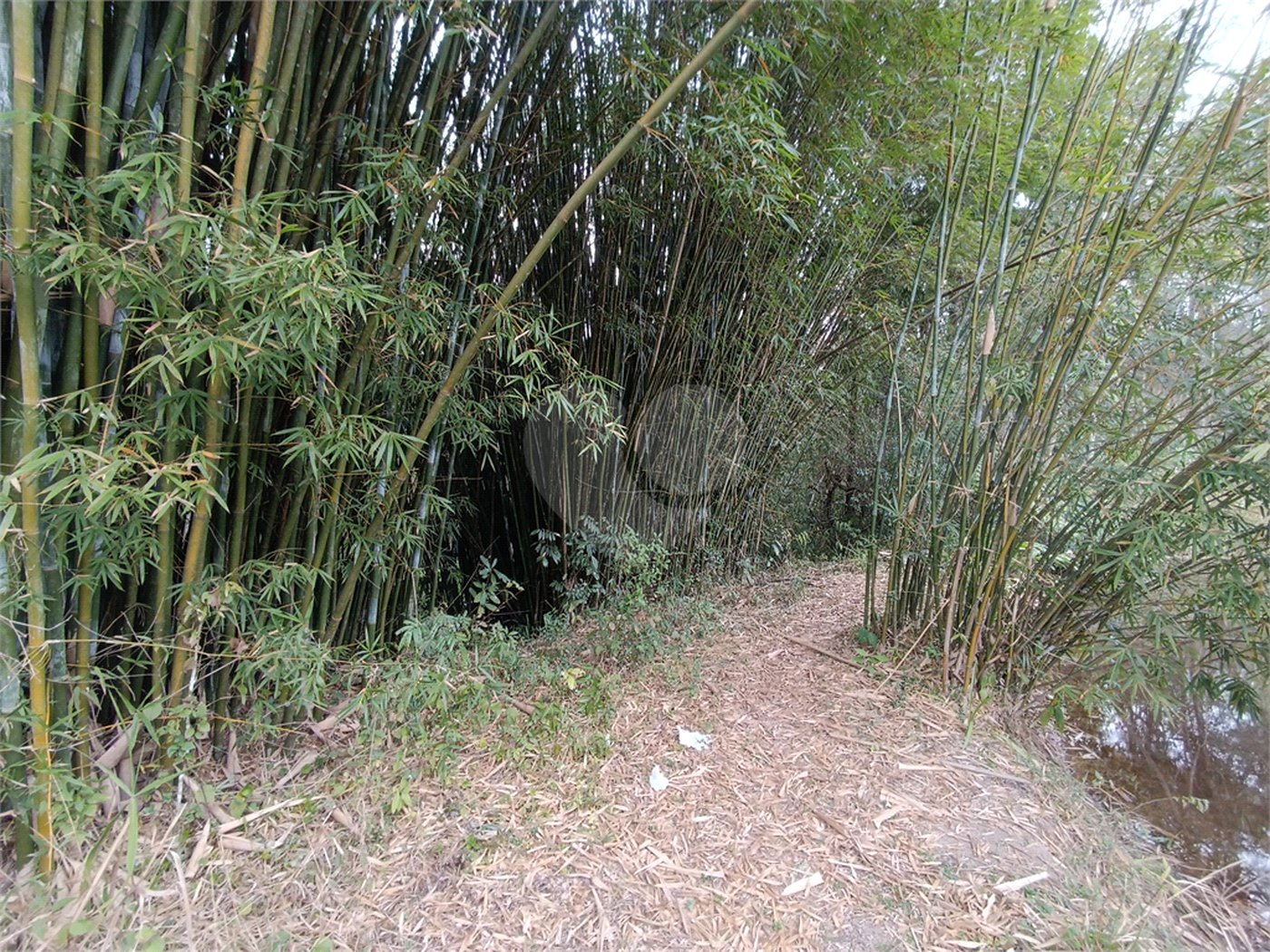 Terreno à venda em Vila Junqueira, São Roque, SP