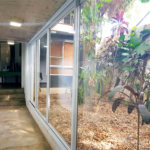 Casa à venda com 3 suítes em Lapa, São Paulo, SP
