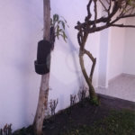 Sobrado à venda com 3 quartos em Jardim Itacolomi, São Paulo, SP