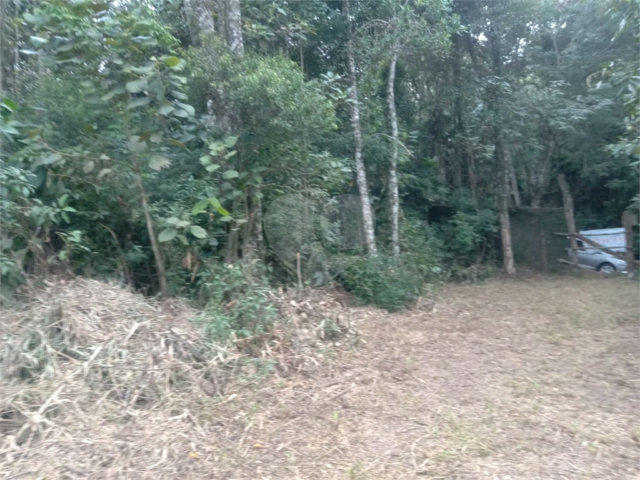 Terreno à venda em Samambaia, Mairiporã, SP