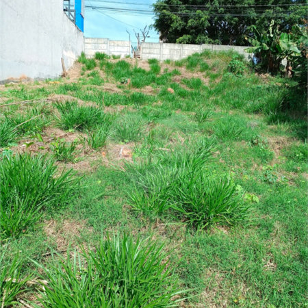 Terreno à venda em Jardim Paulista, Atibaia, SP
