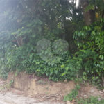 Terreno à venda em Serra da Cantareira, Mairiporã, SP