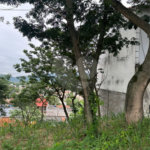 Terreno à venda em Campo Grande, Rio de Janeiro, RJ
