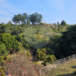 Terreno à venda em Parque Recreio Mirante, São Roque, SP