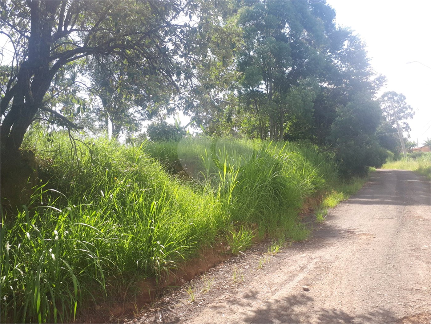 Terreno à venda em Vale Verde, Valinhos, SP