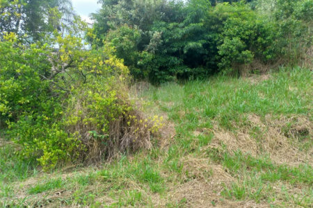 Terreno à venda em Parque dos Cafezais IV, Itupeva, SP