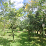 Casa à venda com 4 quartos, sendo 3 suítes,  no condomínio Fazenda Alta Vista, Salto de Pirapora - SP