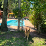 Chácara à venda com 3 quartos, sendo 1 suíte,  em Micai, Salto, SP
