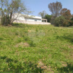 Terreno à venda com 1 suíte em Jardim São Bento do Recreio, Valinhos, SP