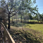 Sítio à venda com 2 suítes em Buru, Salto, SP