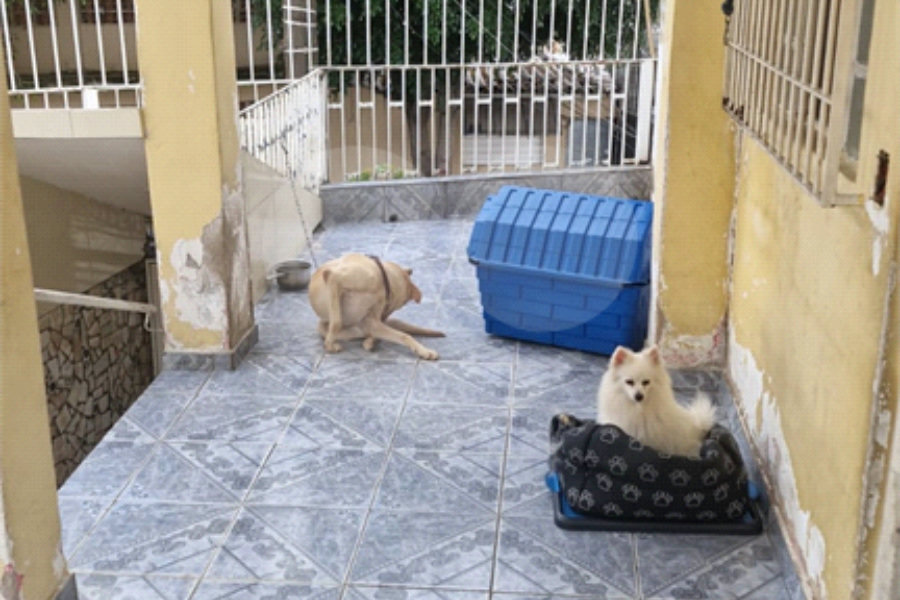 Terreno à venda em Vila Nova Cachoeirinha, São Paulo, SP