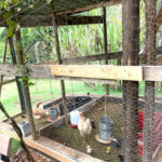 Casa à venda com 10 quartos, sendo 3 suítes, no condomínio Chácaras Campo Verde, Campo Limpo Paulista - SP