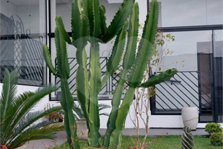Casa à venda ou para alugar com 4 quartos, sendo 3 suítes, no condomínio Figueira Garden, Atibaia - SP