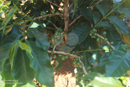 Chácara à venda em Campo Grande, Pilar do Sul, SP