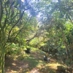 Casa à venda com 4 suítes no condomínio Sausalito, Mairiporã - SP