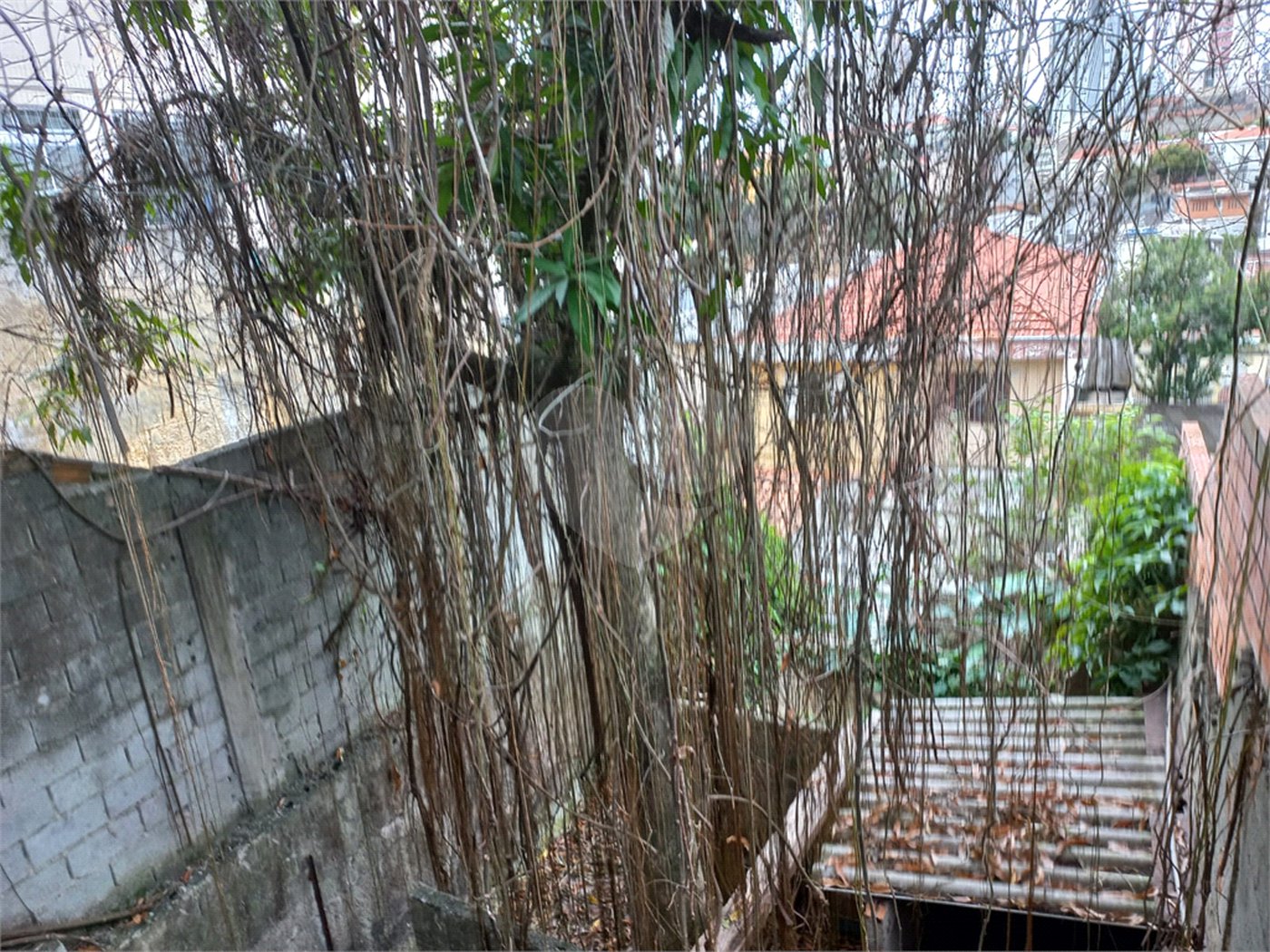 Sobrado à venda com 2 quartos em Vila Mazzei, São Paulo, SP