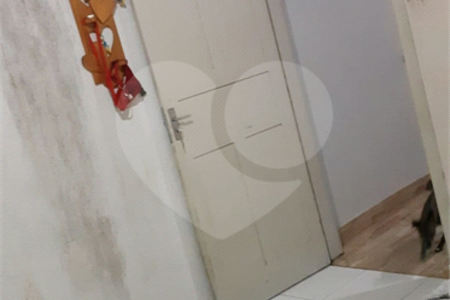 Casa Térrea à venda com 4 quartos em Vila Gustavo, São Paulo, SP