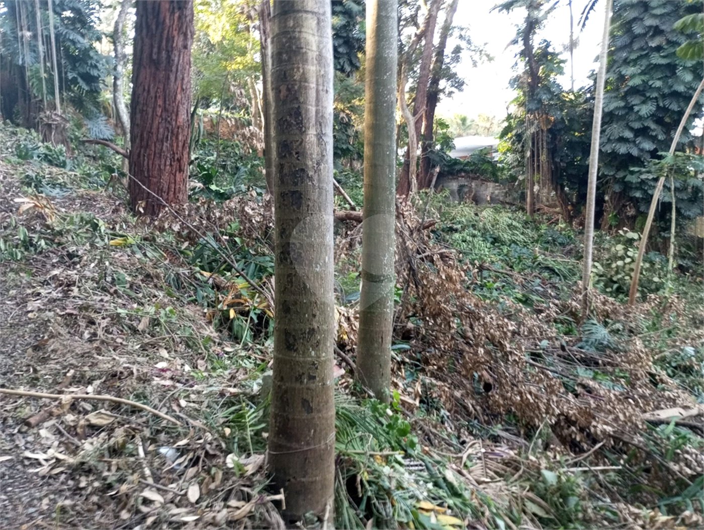 Terreno à venda com 1 suíte em Alto da Boa Vista, São Paulo, SP