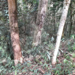 Terreno à venda em Roseira, Mairiporã, SP