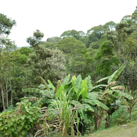 Terreno à venda em Rio Grande, São Bernardo do Campo, SP