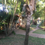 Casa à venda com 5 quartos, sendo 3 suítes, no condomínio Recanto das Flores, Indaiatuba - SP